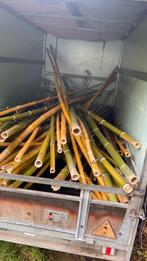 Bamboestokken, Ophalen