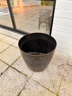 Bloempot zwart, 40 cm ou plus, 40 à 70 cm, Rond, Enlèvement