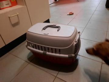 Banc pour chat, Enlèvement, Comme neuf