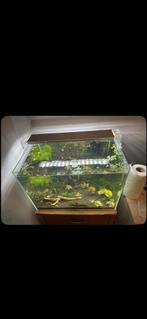 Superfish scaper 60, Dieren en Toebehoren, Ophalen, Zo goed als nieuw