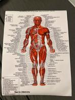 Spieren, Ophalen of Verzenden, 2000 tot heden, Zo goed als nieuw, 12 inch