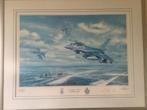 Ronald wong painting 31 squadron tigers, Ophalen of Verzenden
