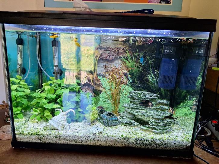 SUPERFISH START 100 L TROPICAL KIT NOIR, Dieren en Toebehoren, Vissen | Aquaria en Toebehoren, Zo goed als nieuw, Gevuld zoetwateraquarium