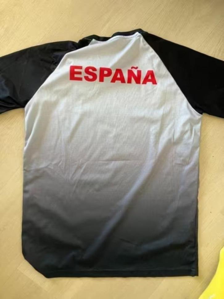Team España Spanje T-shirt sportmerk Luanvi medium, Kleding | Heren, T-shirts, Zo goed als nieuw, Maat 48/50 (M), Grijs, Ophalen of Verzenden
