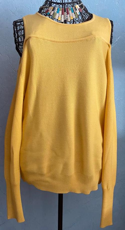 Caroline Biss 38 Mooie lichte trui met fantasie, Kleding | Dames, Truien en Vesten, Nieuw, Maat 38/40 (M), Geel, Ophalen of Verzenden