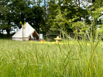 À louer : tente cloche confortable dans un verger