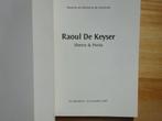 Raoul De Keyser, Mudel, Deinze, 2007- nieuw, Neuf, Peinture et dessin, Bernard Dewulf, Enlèvement ou Envoi