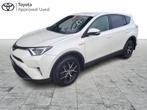 Toyota RAV-4 Comfort & Pack Dynamic, SUV ou Tout-terrain, Hybride Électrique/Essence, Automatique, Achat
