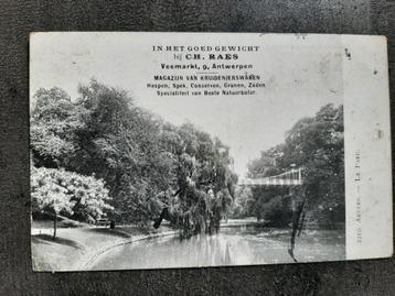 postkaart reclame Antwerpen ( 1911)