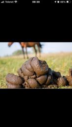 Gratis paardenmest, Tuin en Terras, Aarde en Mest, Ophalen of Verzenden