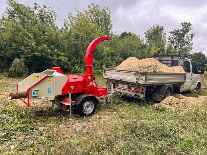 broyeur de branche, Tuin en Terras, Hakselaars, Nieuw, Benzine, Ophalen