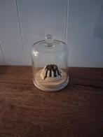 kunst / sier / nep / decoratie cakeje, Huis en Inrichting, Woonaccessoires | Stolpen, Ophalen of Verzenden