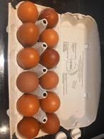 Marans broedeieren, Dieren en Toebehoren, Pluimvee