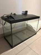 Aquarium GRATIS + alle toebehorens + vissen, Ophalen, Gebruikt