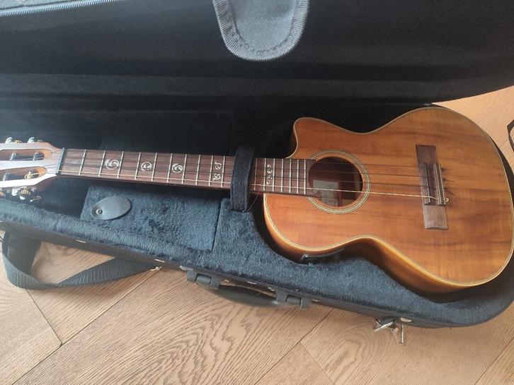 Ukulele ténor KALA, Musique & Instruments, Instruments à corde | Autre, Neuf, Ukulélé, Enlèvement