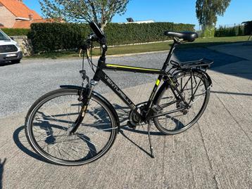 Venturelli trek serie beschikbaar voor biedingen