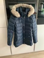 Tommy hilfiger jas, Vêtements | Femmes, Vestes | Hiver, Comme neuf, Taille 36 (S), Bleu, Tommy hilfiger