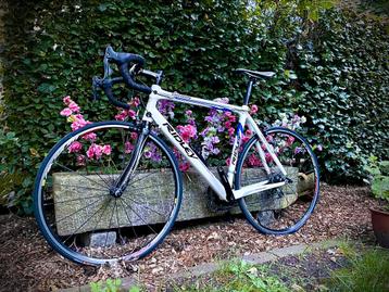 Ridley Orion - Carbon, Campagnolo 10speed, maat 56 beschikbaar voor biedingen