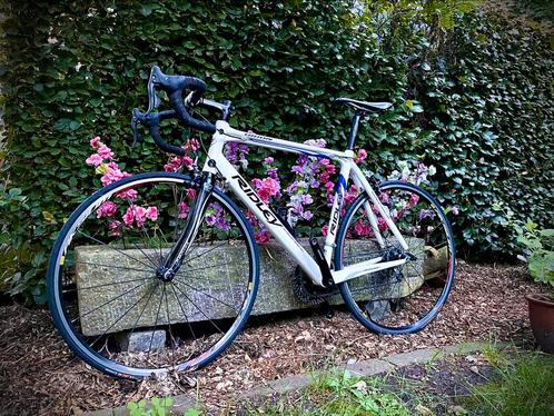 Ridley Orion - Carbon, Campagnolo 10speed, maat 56, Fietsen en Brommers, Fietsen | Racefietsen, Gebruikt, Heren, Overige merken