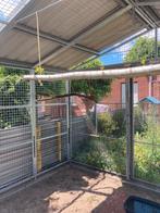 Volière Papegaai en roofvogels, Dieren en Toebehoren, Ophalen, Zo goed als nieuw, Volière