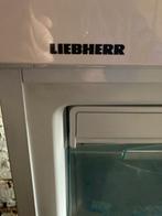 diepvries, Elektronische apparatuur, Vriezers en Diepvrieskisten, Gebruikt, 160 cm of meer, Energieklasse A of zuiniger, Ophalen