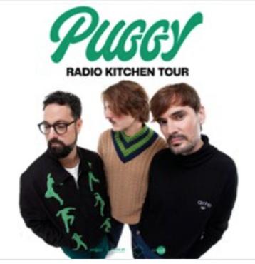 Te koop 2 tickets voor Puggy at Forest National 28/11/2025. beschikbaar voor biedingen