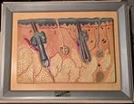 Didactische doorsnede huid 36cm x 46cm, Ophalen of Verzenden