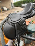 Springzadel savorito lucano, Dieren en Toebehoren, Paarden