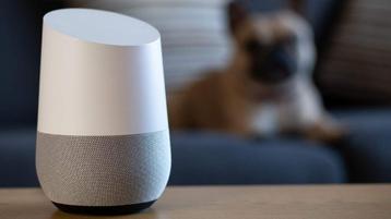 Google home beschikbaar voor biedingen