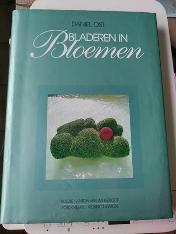 Bloemschikken : Bladeren in Bloemen van Daniël Ost beschikbaar voor biedingen