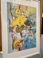 Poster pokemon 70/50 plastifié, Ophalen