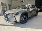 Lexus UX 250h Business Line Plus + 96 mois d, Hybride Électrique/Essence, Automatique, https://public.car-pass.be/vhr/0858bfb3-36e8-4914-9b73-e6d7986c7d65