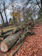 Beuk brandhout te koop, Tuin en Terras, Brandhout, 6 m³ of meer, Ophalen, Beukenhout, Stammen