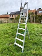 Pluk of snoei ladder 230cm stahoogte 140 cm, Ophalen, Zo goed als nieuw, Ladder