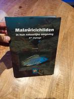 Malawi cichliden, Ophalen