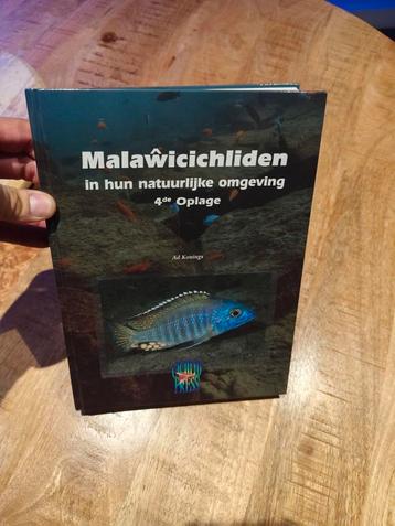 Malawi cichliden  beschikbaar voor biedingen