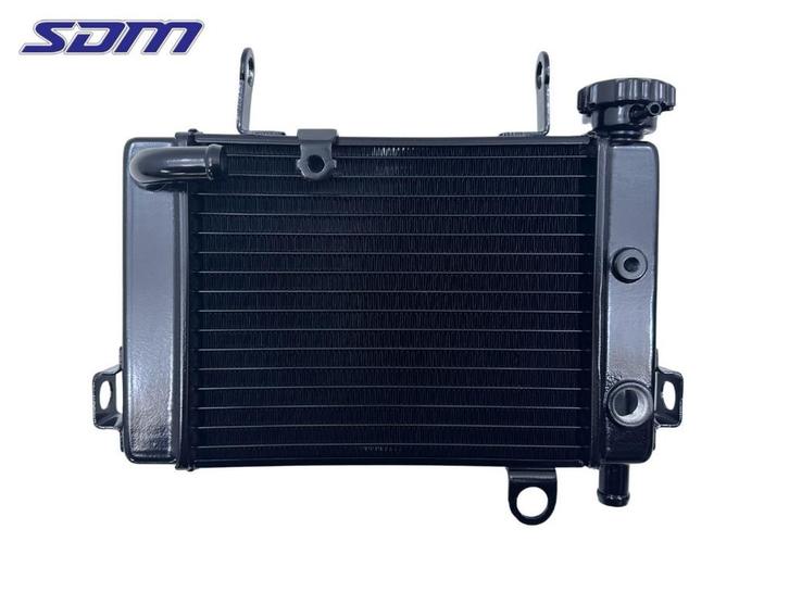 RADIATEUR CBR 125 R 2007-2010 (CBR125R JC39) (19010KPP861), Motoren, Onderdelen | Overige, Gebruikt