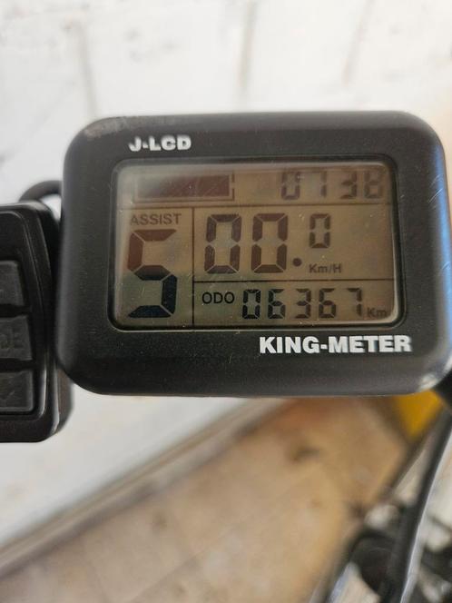 Te Koop, Fietsen en Brommers, Elektrische fietsen, Ophalen