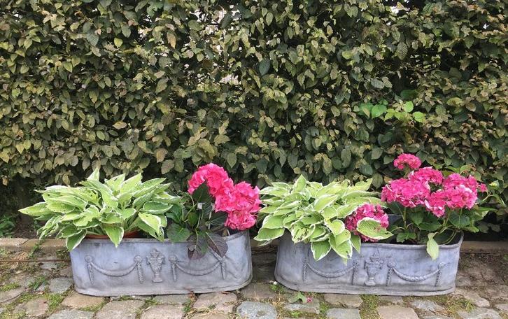 Zeldzame, antieke bloembakken in lood, tuindecoratie, Antiek en Kunst, Curiosa en Brocante, Ophalen