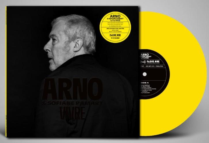 Vinyl LP Arno Hintjens & Sofiane Pamart Vivre YELLOW NIEUW, Cd's en Dvd's, Vinyl | Pop, Nieuw in verpakking, 2000 tot heden, 12 inch