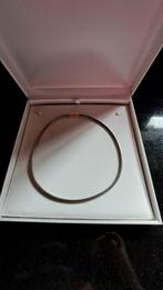 Collier neuf jamais porté Avec son magnifique écrin, Enlèvement ou Envoi, Neuf, Argent, Autres matériaux