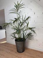 Prachtige grote kunstplant/gegalvaniseerde pot van oh’ green, Ophalen, Palm