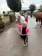 Bomproef grote  B pony, Dieren en Toebehoren, B, B pony (1.17m tot 1.27m), 11 jaar of ouder, Recreatiepony