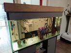 Aquarium met ALLES erbij, Enlèvement, Utilisé