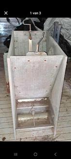 Brijbak varkens, Dieren en Toebehoren, Varken