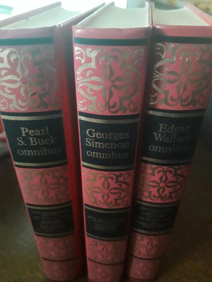 Omnibussen, Boeken, Romans, Gelezen, Ophalen of Verzenden