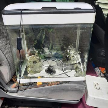 Aquarium met toebehoren . 42 h - 44 breed en 28 cm diep . beschikbaar voor biedingen