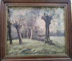 Raymond Carlé, knotwilgen in rivierlandschap, Antiek en Kunst, Kunst | Schilderijen | Klassiek, Ophalen of Verzenden