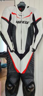 dainese dames racepak, Combipak, Nieuw zonder kaartje, Dainese, Dames