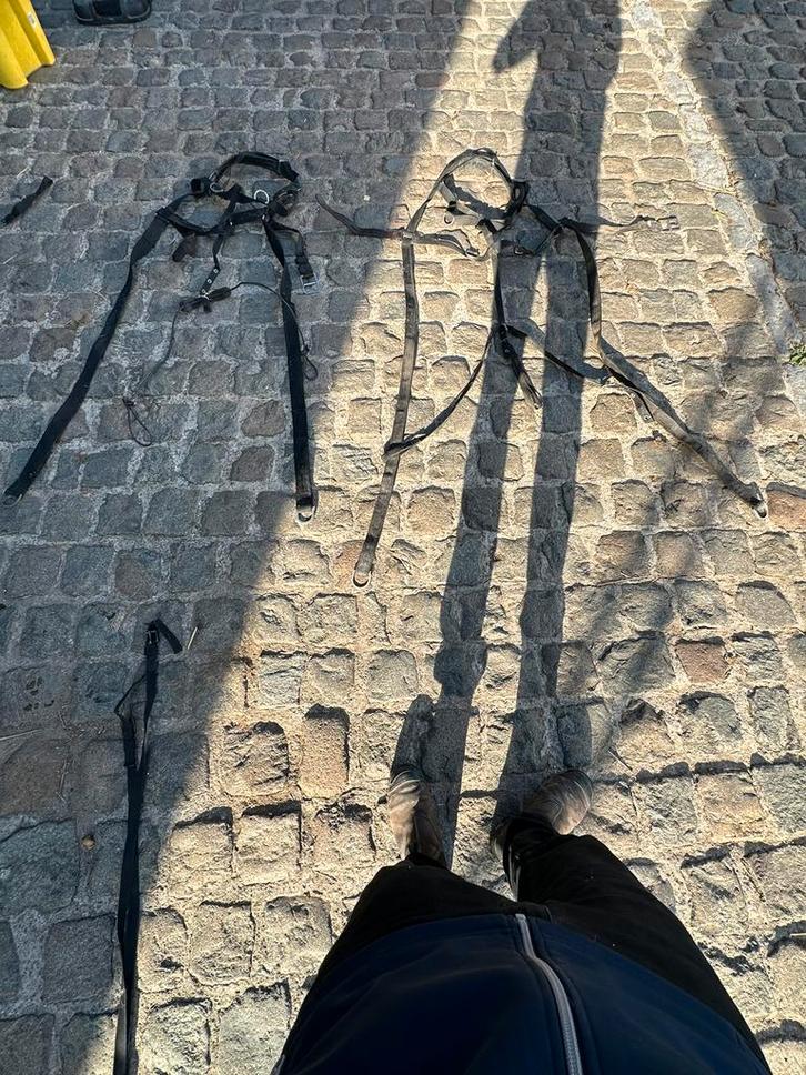 2-span pony tuig en andere toebehoren, Dieren en Toebehoren, Paarden en Pony's | Hoofdstellen en Tuigage, Zo goed als nieuw, Ophalen of Verzenden